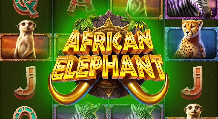 Slot machine African Elephant (Elefante africano)