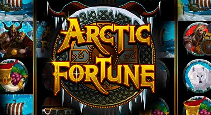 Slot machine Arctic Fortune