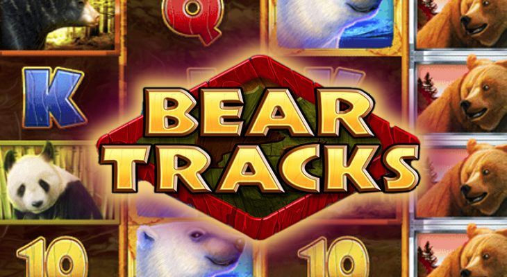 Slot machine Bear Tracks