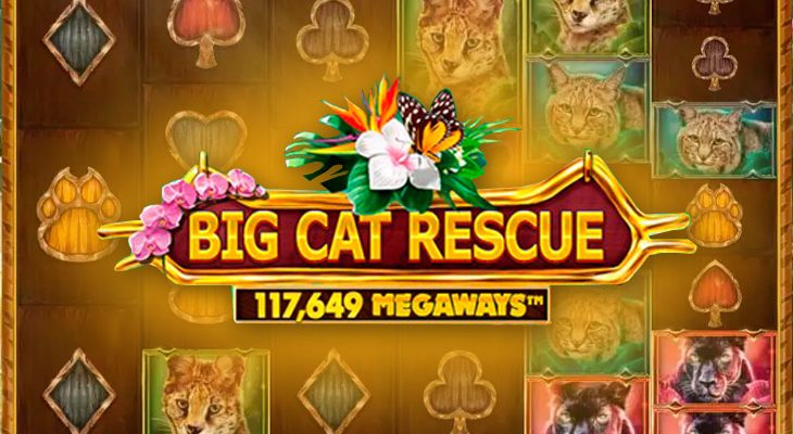 Slot machine Big Cat Rescue MegaWays