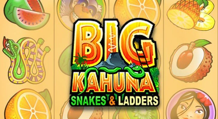 Slot machine Big Kahuna Snakes & Ladders