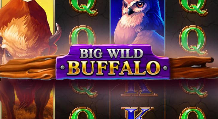 Slot machine Big Wild Buffalo