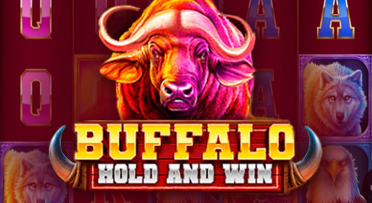 Slot machine Buffalo Hold and Win