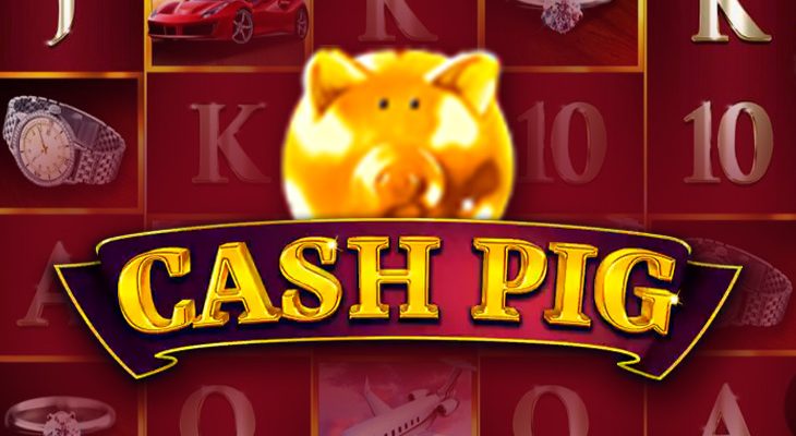 Slot machine Cash Pig