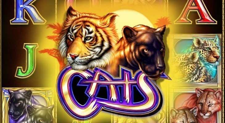 Slot machine Cats (Gatos)