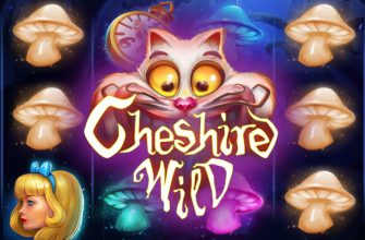 Slot machine Cheshire Wild