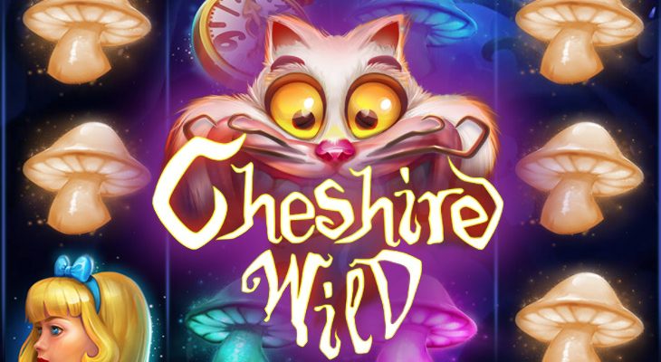 Slot machine Cheshire Wild