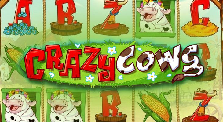 Slot machine Crazy Cows (vacas loucas)