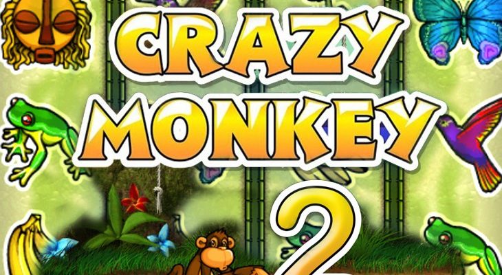 Slot machine Crazy Monkey 2