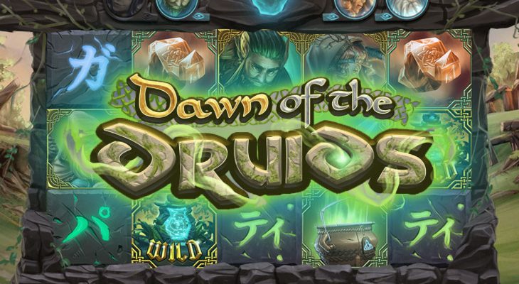 Slot machine Dawn Of The Druids