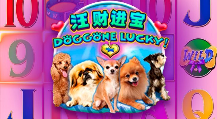 Slot machine Doggone Lucky!