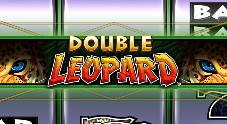 Slot machine Double Leopard