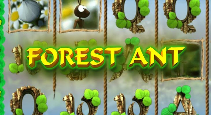 Slot machine Forest Ant (Formiga da Floresta)