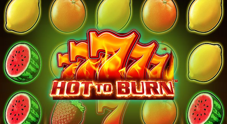 Slot machine Hot to Burn