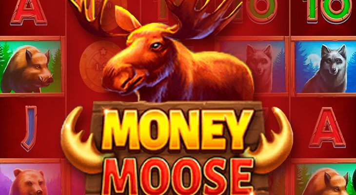 Slot machine Money Moose