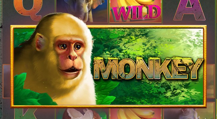 Slot machine Monkey (macaco)