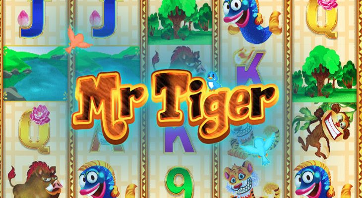 Slot machine Mr Tiger