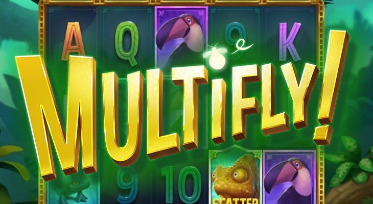 Slot machine Multifly