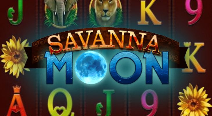 Slot machine Savanna Moon