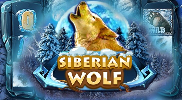 Slot machine Siberian Wolf (Lobo Siberiano)