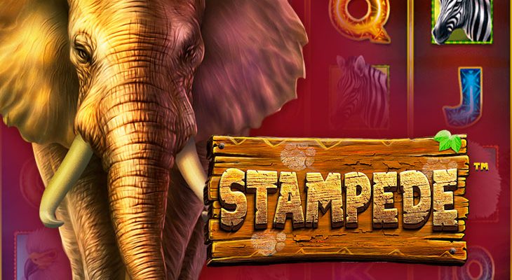 Slot machine Stampede