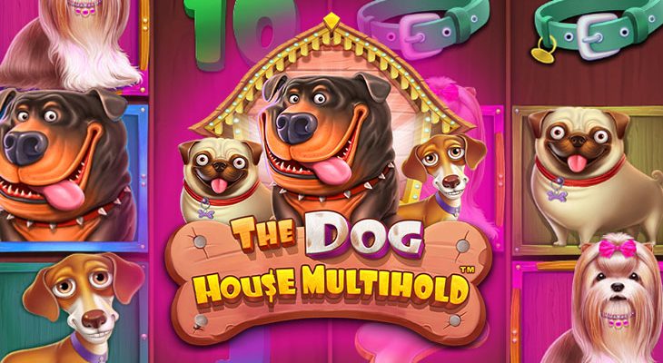 Slot machine The Dog House Multihold