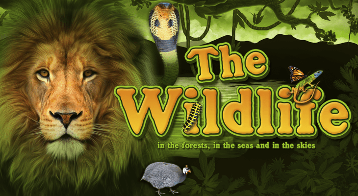 Slot machine The Wildlife (A Vida Selvagem)