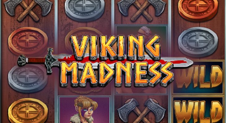 Slot machine Viking Madness