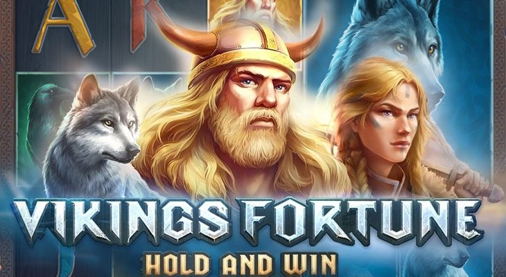 Slot machine Vikings Fortune: Hold and Win