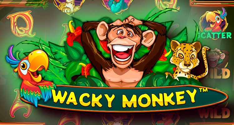 Slot machine Wacky Monkey