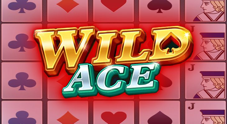 Slot machine Wild Ace