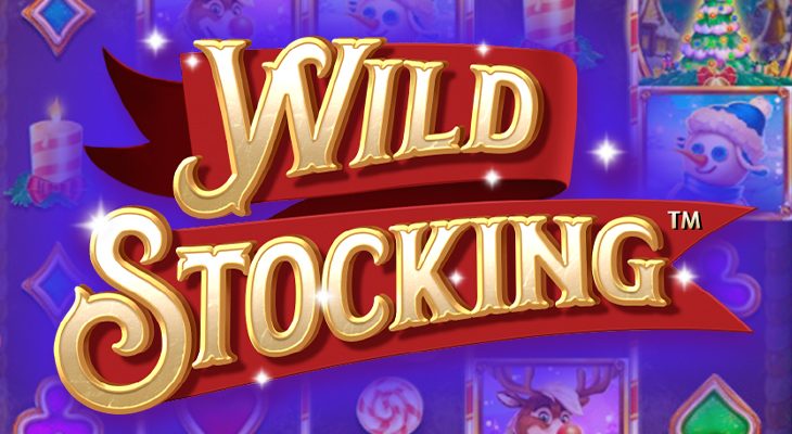 Slot machine Wild Stocking