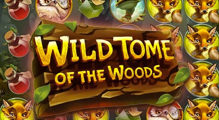 Slot machine Wild Tome of the Wood