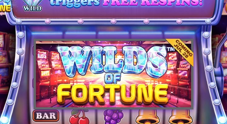 Slot machine Wilds of Fortune