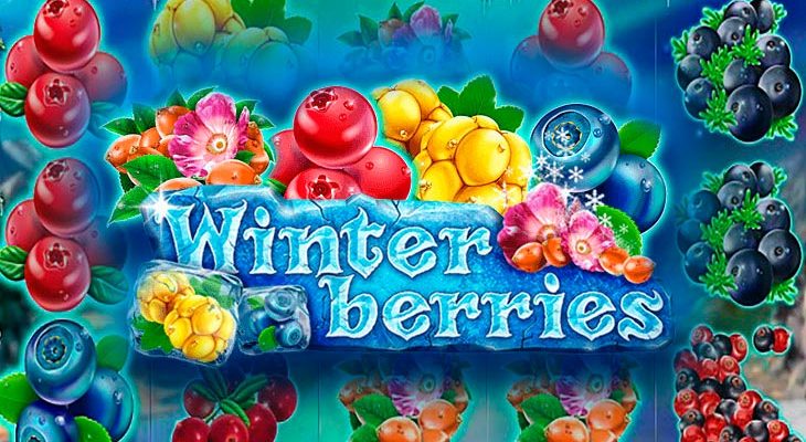 Slot machine Winterberries