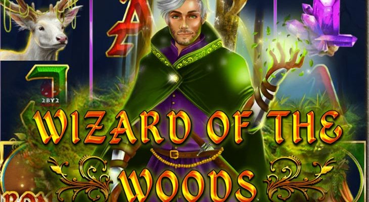 Slot machine Wizard of the Woods